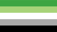 Aromantic Flag - eng. udg